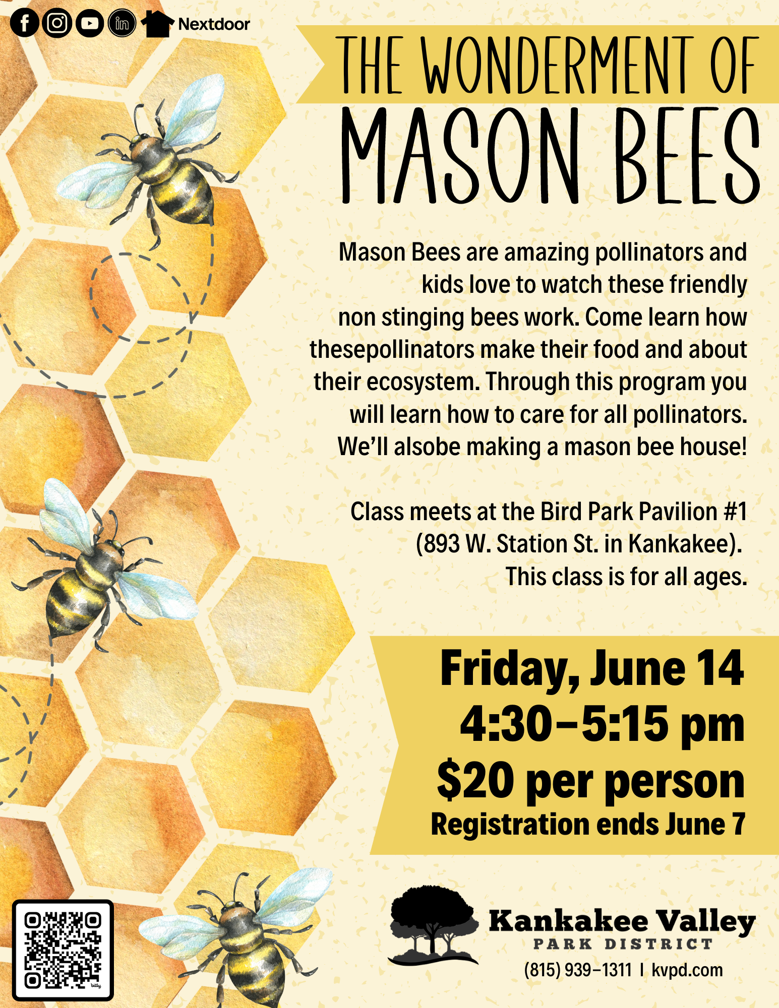 The Wonderment of Mason Bees