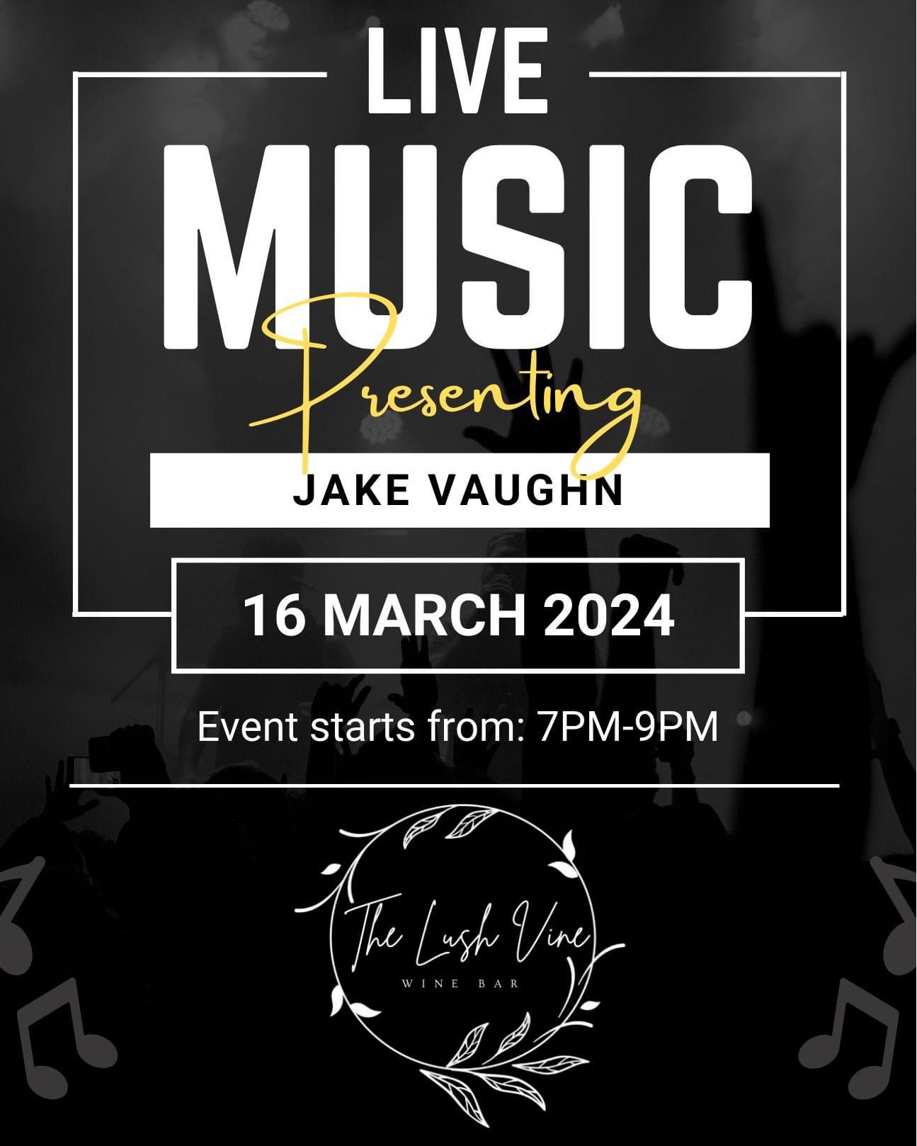 Jake Vaughn live at The Lush Vine
